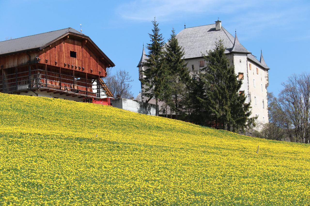 Bed and Breakfast Medesc Ла Вилла Экстерьер фото